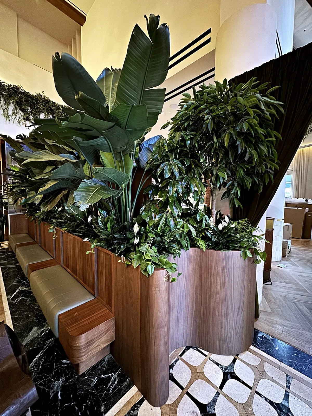 Lush, architectural planting rising from sculpted wood planters in a New York interior
