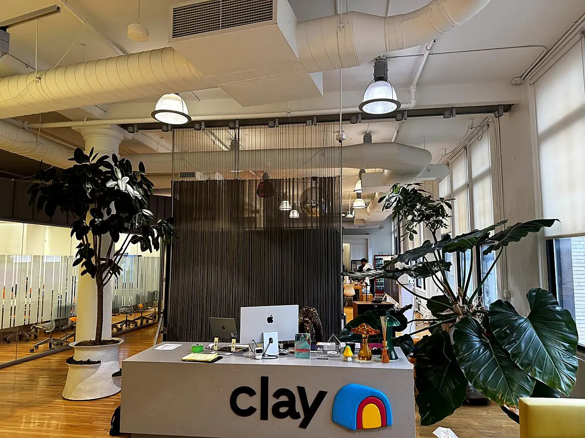 A rubber tree and broad-leaved philodendron framing a studio reception desk