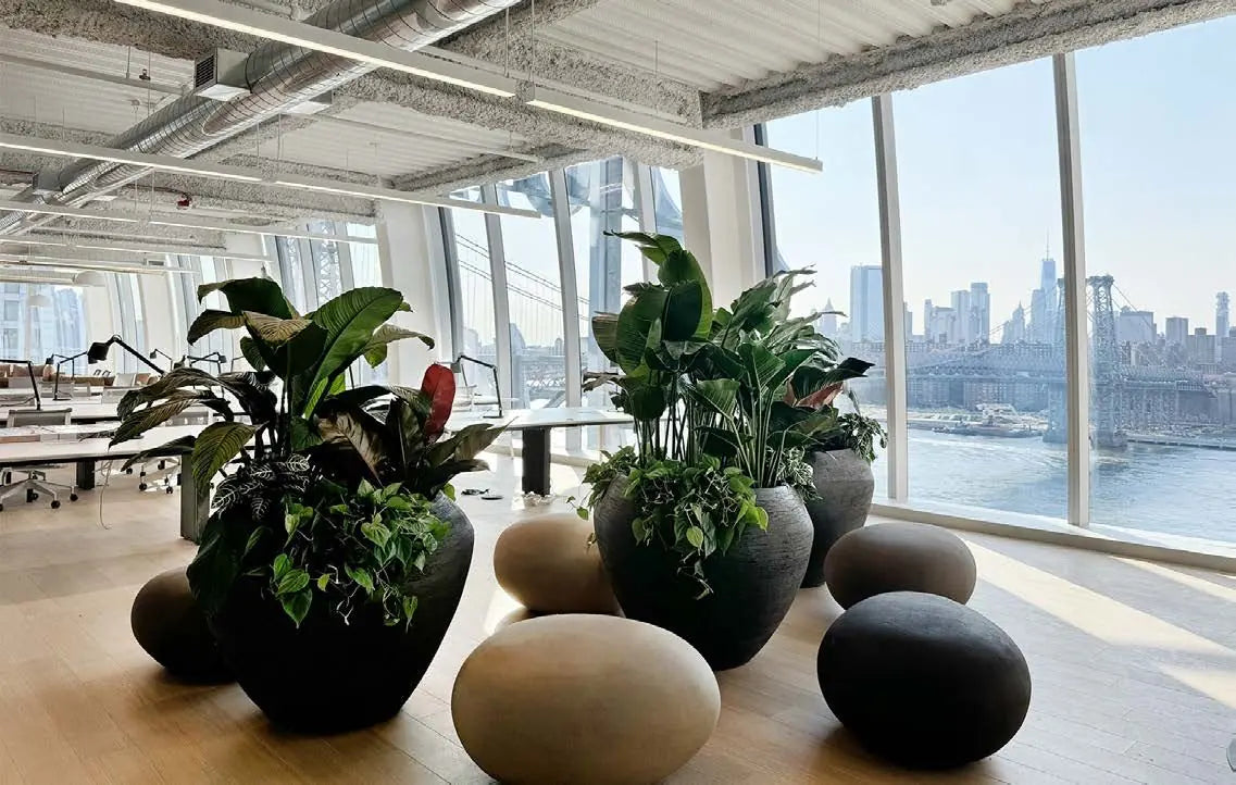 Sculptural pots of foliage along a glazed office wall above the waterfront