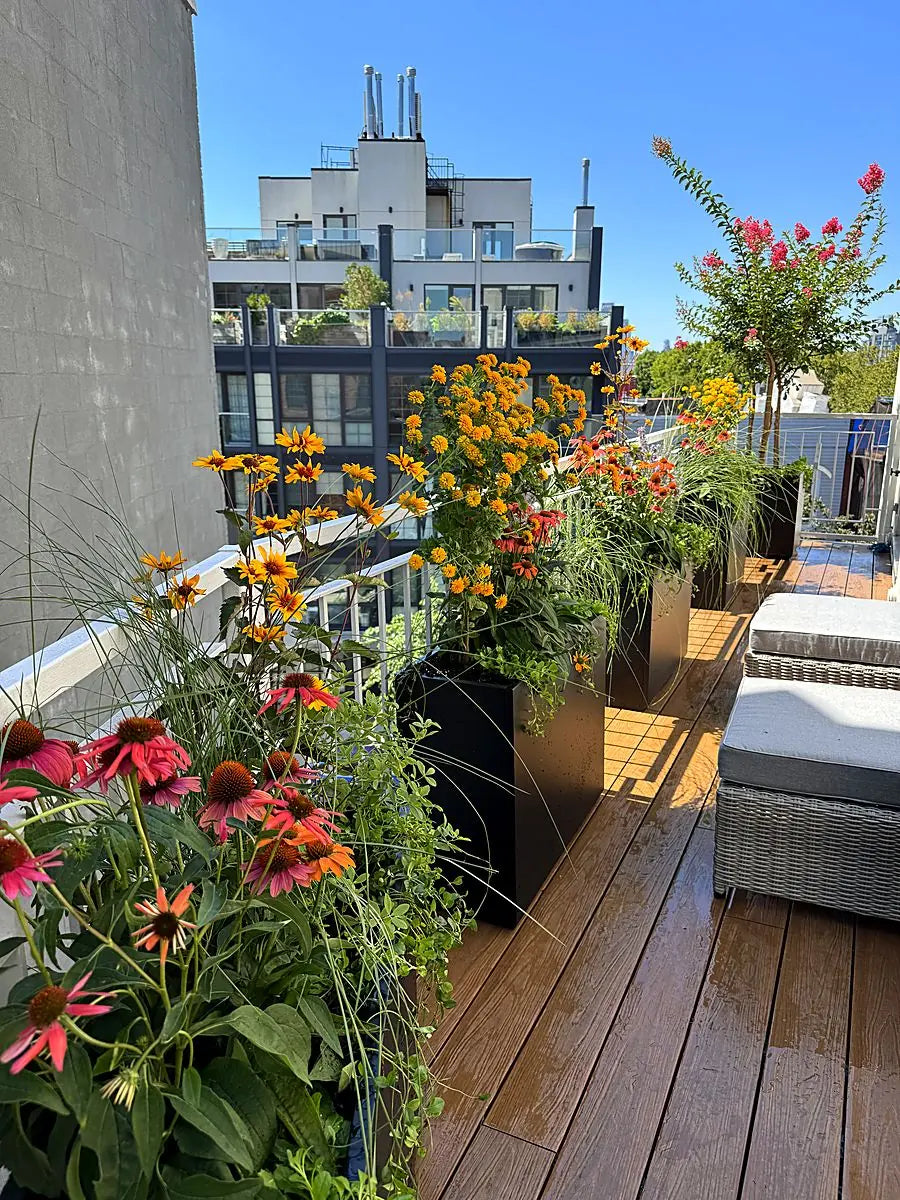A rooftop terrace lined with flowering planters above the city skyline