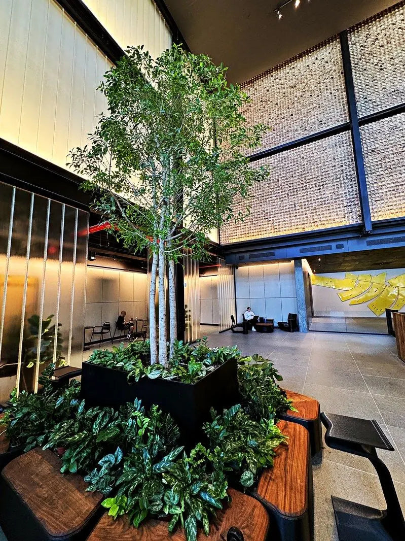 A slender indoor tree rising from a planted bed in a dark modern interior