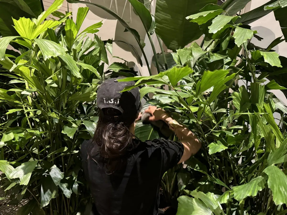 An A.K.A designer arranging lush tropical foliage during an installation